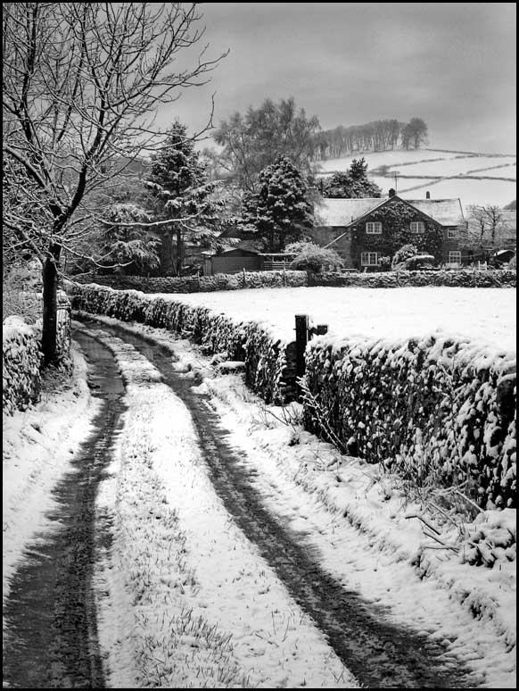 Back-Lane-Snow