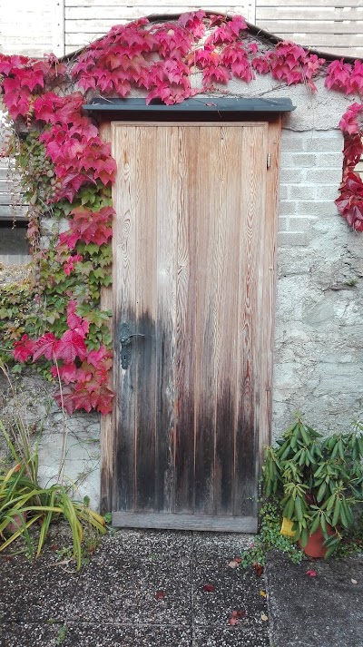 Photos of Blaue Traube