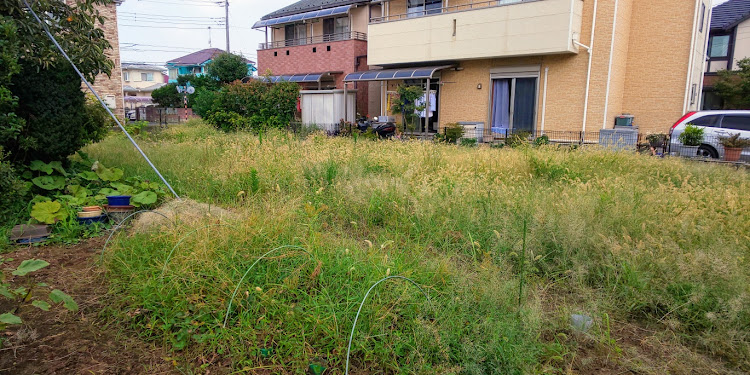 バモスホビオのエンジン草刈り機は最強💥・除草剤散布( ・∀・)ｒ鹵~＜≪巛🌿に関するカスタム事例の投稿画像2枚目