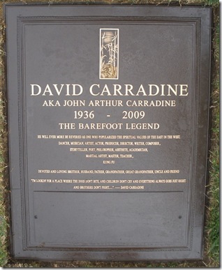 David Carradine 2