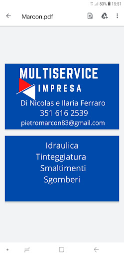 MULTISERVICE IMPRESA DI NICOLAS E ILARIA FERRARO logo