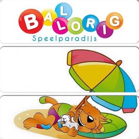 Ballorig Hoogezand logo