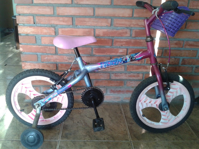 FIZ UMA BIKE 24 MONTADINHA PRO GRAU / RESTAURANDO BICICLETA VELHA 