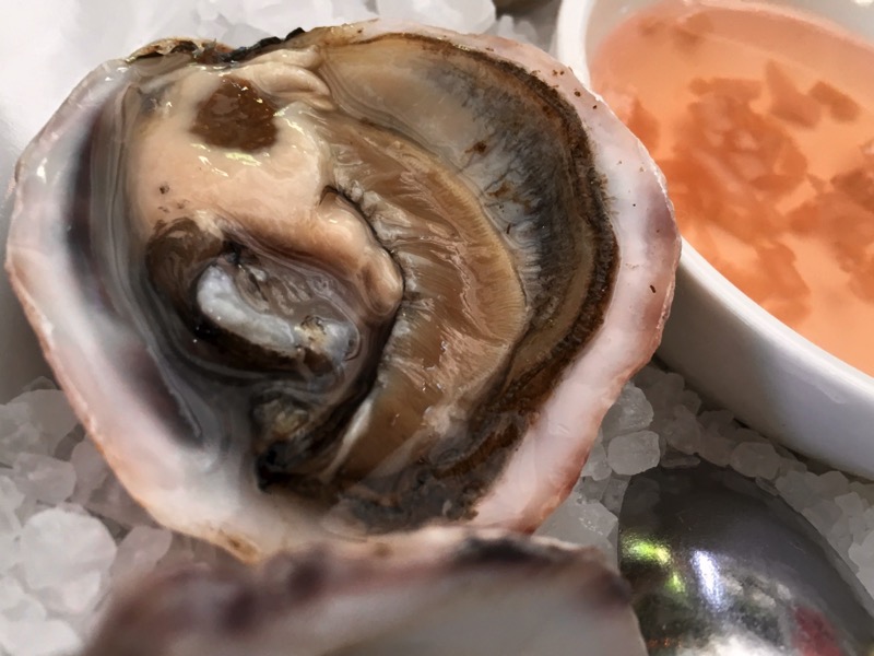 Oyster