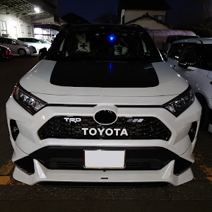 RAV4 MXAA54