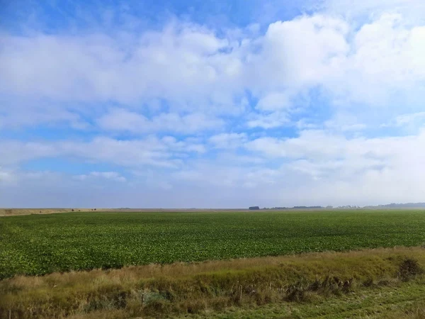 Big Lincolnshire skies