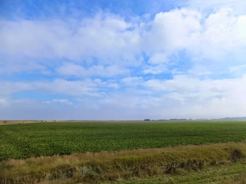 Big Lincolnshire skies