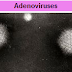 Ade+Tiada+Virus=ADENOVIRUS