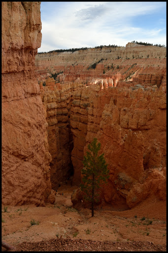 INTENSA RUTA POR LA COSTA OESTE USA 2015 - Blogs de USA - ARCHES-CAPITOL REEF-BRYCE CANYON (23)