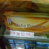 Propolis