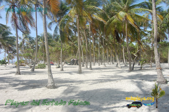 Playa Cayo Sombrero F075, Estado Falcon, Las Mejores Playas de Venezuela, Top100