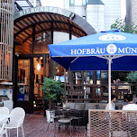 Hofbrau Munchen in Hongdae in Seoul, South Korea 