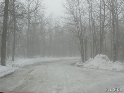 Foggy Driveway