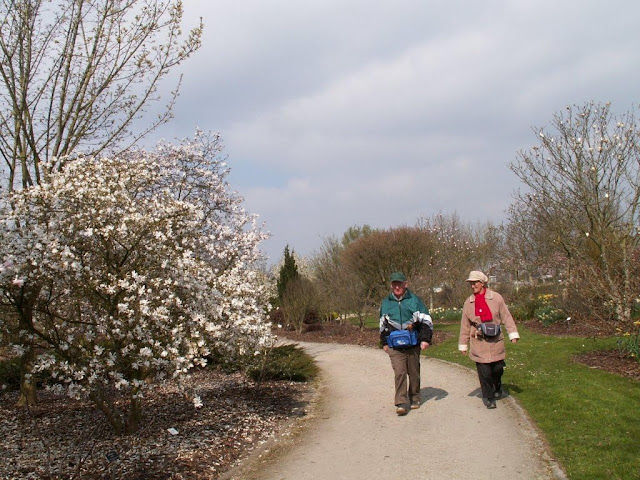 Wandelclubs oost vlaanderen