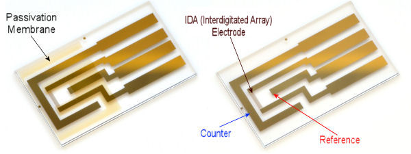 IDA (Interdigitated Array) Electrodo Au 2 uno