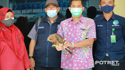 Ditpolairud Polda Jawa Timur Ringkus Dua Pelaku Penyelundupan Satwa Dilindungi