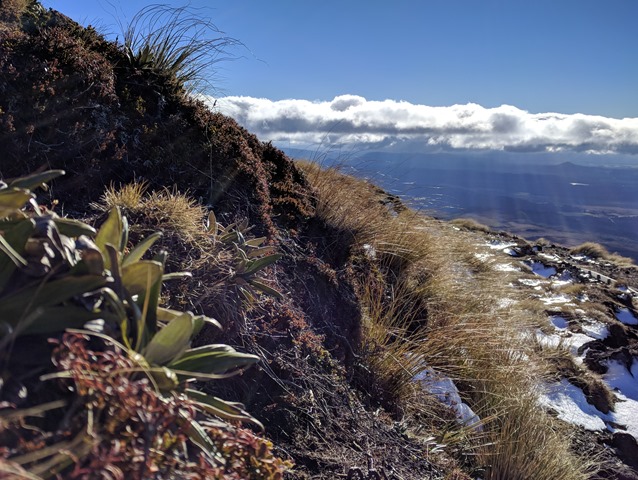 P005_NZ NI Tongariro Alpine Crossing_2018-06-08_Jen_IMG_20180609_142920