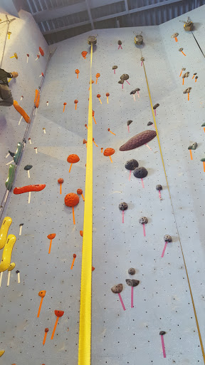 Rock Climbing «Planet Rock Climbing Gym», reviews and photos, 1103 W 13 Mile Rd, Madison Heights, MI 48071, USA