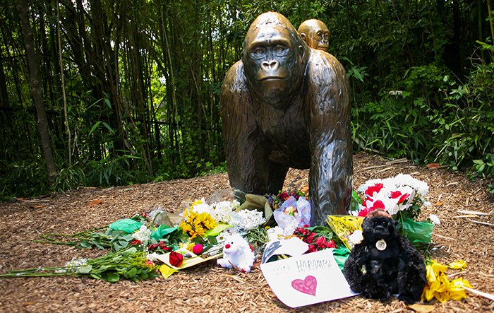 파일:gorilla-memorial.jpg