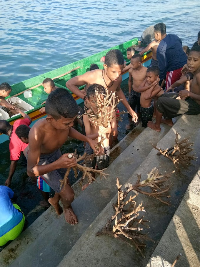 Transplatansi Terumbu Karang 