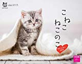 カレンダー2019 壁掛け　こねこねこのこカレンダー（ネコ・パブリッシング） ([カレンダー])