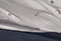 Avalanche Haute vallée de la Susa, secteur Cesana Torinese, ravin Terre Nere - Photo 3 - © Duclos Alain