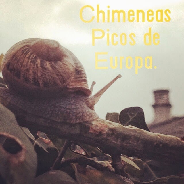 Chimeneas picos de europa: septiembre 2014 Chimenea Pellets decoración