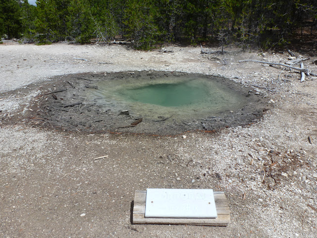 PN Yellowstone. Madison. Valle río Gibbon. Norris Geyser Basin. 12 Julio - LAS ROCOSAS DE CANADA. YELLOWSTONE Y GRAND TETON. (43)