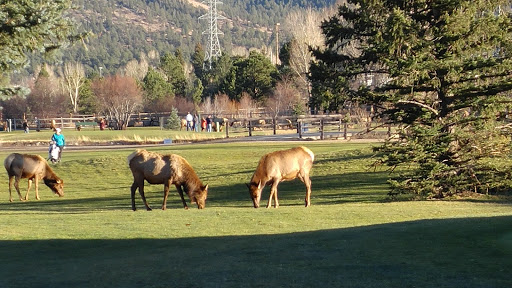 Golf Course «Estes Park Golf Course», reviews and photos, 1480 Golf Course Rd, Estes Park, CO 80517, USA