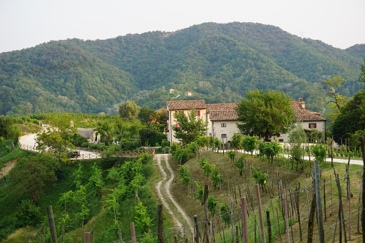 Duca Di Dolle Societa 'Agricola S.S.