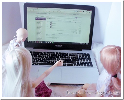 Naming Our Newest Doll and a Little News:  Dolls doing some online shopping.