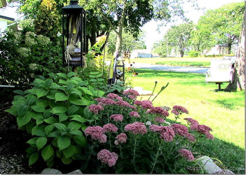 Showcasing the colors of a Fall Garden