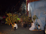 IMGP1112.JPG