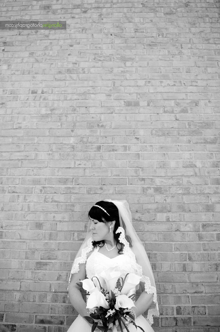 of 2010   Bridal Portraits