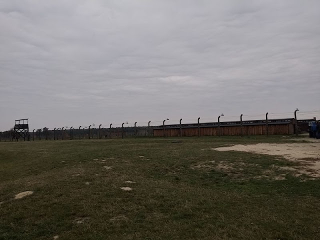 11/10- Auschwitz: De quedarse roto y sin palabras - Patea conmigo Cracovia (44)