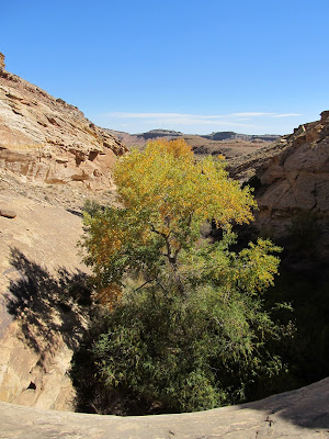 Above the pool/dryfall