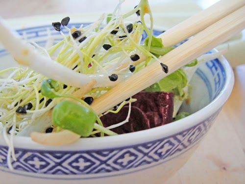 Bestsmellers: Asiatisch inspirierter Sprossensalat