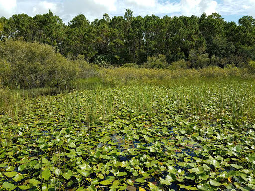 Park «Sabal Pines Park», reviews and photos, 5005 NW 39th Ave, Coconut Creek, FL 33073, USA