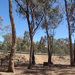 Looking up at the road from the lower campsite