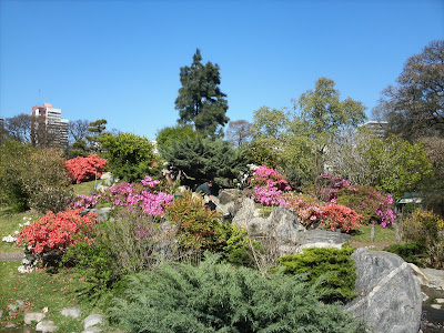 jardin japones