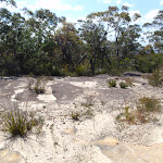 Rocky surface next to The Oaks Fire Trail (74061)