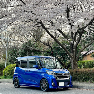 デイズルークス B21A