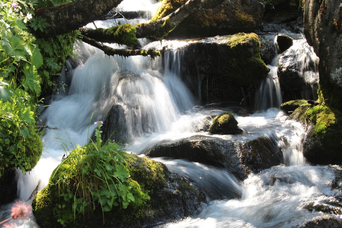 L'étang de Batouxiade dans la vallée d'Orlu IMG_4010