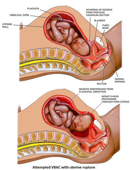 파일:external/www.abclawcenters.com/full.jpg