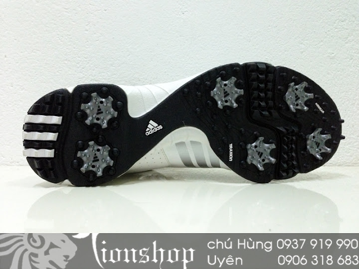 Giày Hiệu  : Lacoste, Timberland, Nike, Adidas, Kappa, Clarks.. - 8