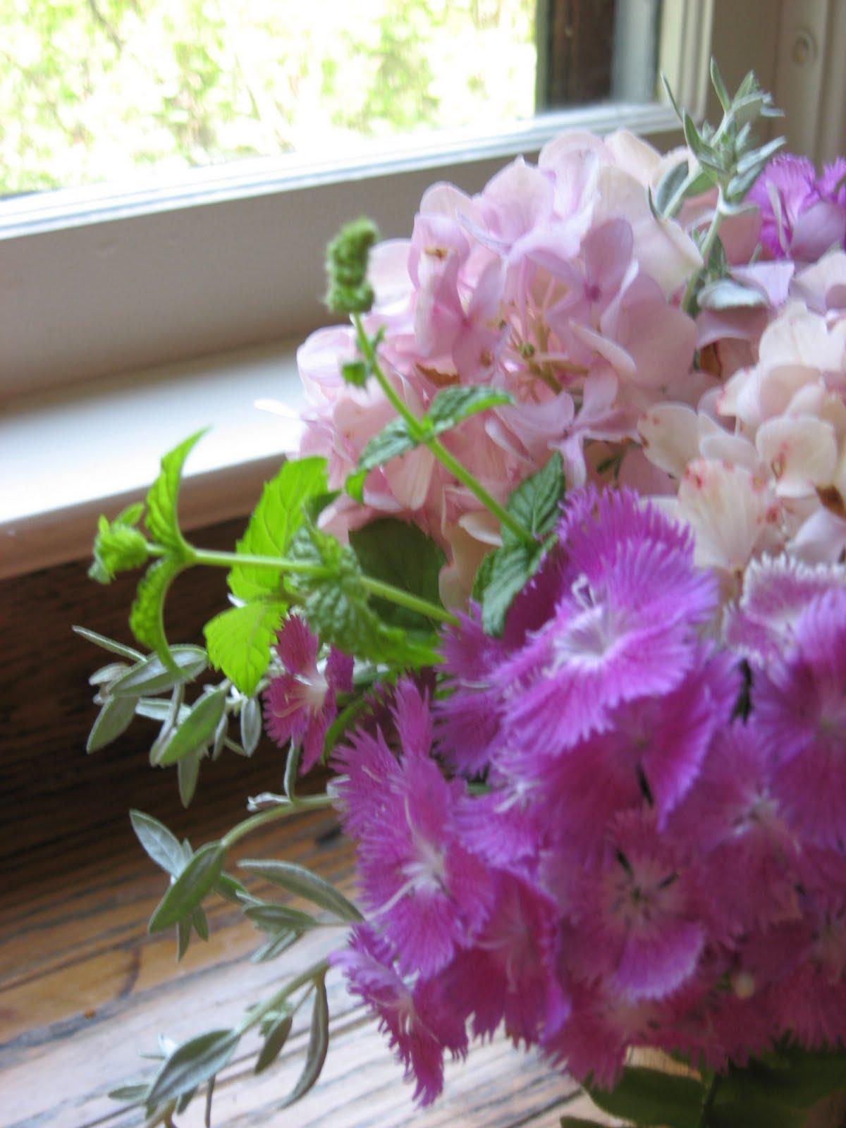 local pink hydrangea and