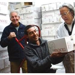 Immagine principale di Azienda Vinicola di Spagnolli Enrico e c. snc