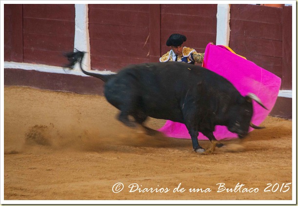 Toros1-9710