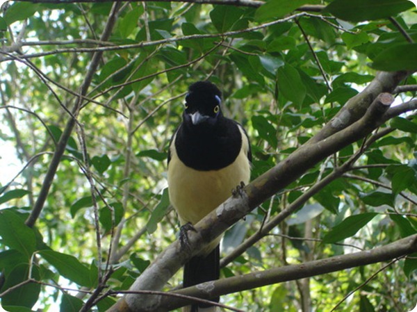 Parque provincial Yacuy 3