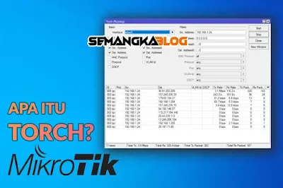 Cara Analisis Trafik Jaringan Dengan Torch Mikrotik